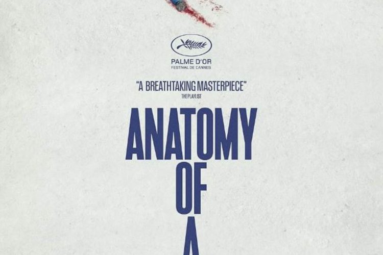 Bir_Düşüşün_Anatomisi_film_
